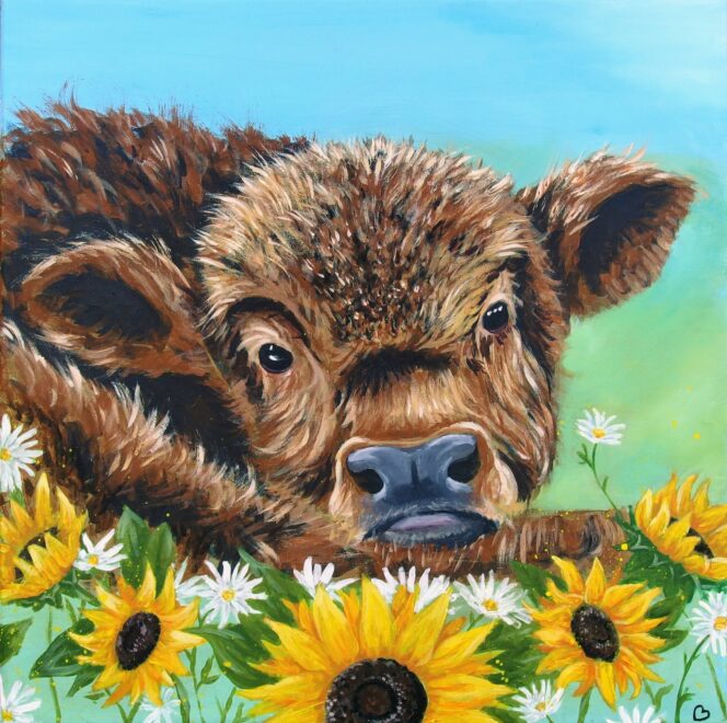 Baby Cow Portrait
